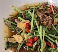 Cilantro Beef