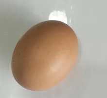 Boiled Egg