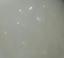 Rice Porridge