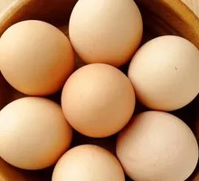 Boiled Egg