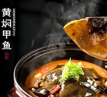 Stewed Softshell Turtle