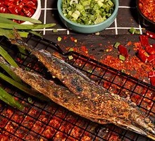 Sardine