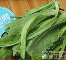 Oilseed lettuce