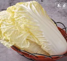 Baby bok choy