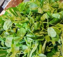 Pea Delight
