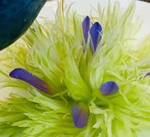 Oil and Vinegar Dressing Fengwei Celery