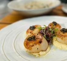 Pan-Seared Scallops