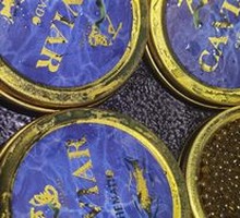 Sturgeon Caviar