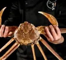 Live Snow Crab Seafood Hot Pot