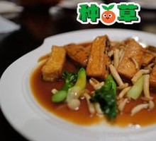 Braised Tofu with Abalone Sauce