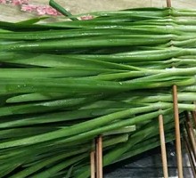 Leek