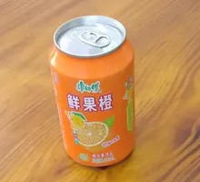 Fresh Orange Fruit