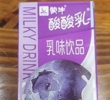 Mengniu Blueberry Milk