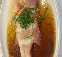 Steamed Tiger Grouper with Fermented Black Beans