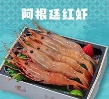 Argentine Red Shrimp