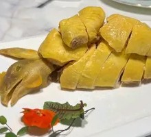 Free-range Boiled Chicken