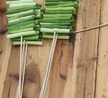 Roasted Garlic Shoots
