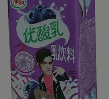 Blueberry Yogurt Drink