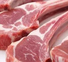 Lamb