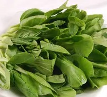 Stir-fried Chicken Mustard Greens