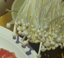 Enoki Mushroom