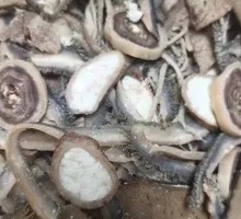 Offal Stir-Fry