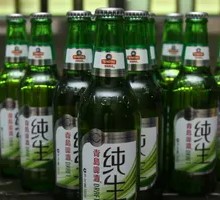 Tsingtao Pure Beer