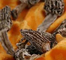 Morel Mushroom