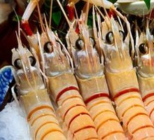 New Zealand Lobster