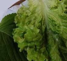 Lettuce