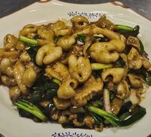 Iron Plate Intestines