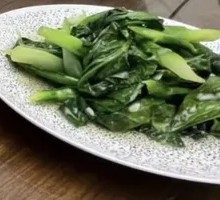 Oilseed lettuce