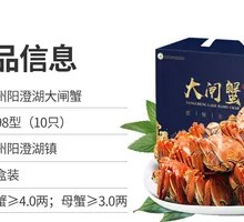 Yangcheng Lake Crab Gift Box 1998 Type