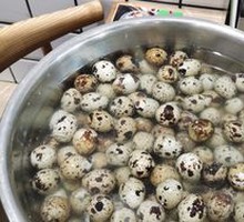 Quail Egg