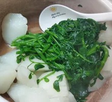 Vegetable Radish