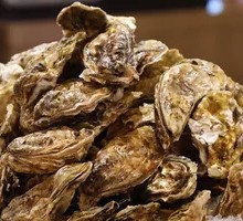 Oyster