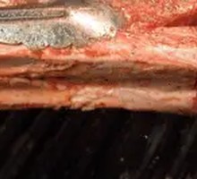 Delicious Steak