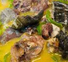 Braised Softshell Turtle