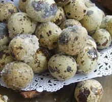 Salt-Baked Quail Eggs