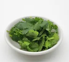 Cilantro