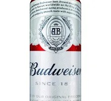 High Can Budweiser Beer
