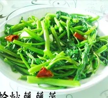 Water spinach