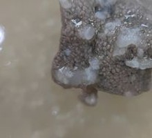 Fresh Pork Liver Sausage