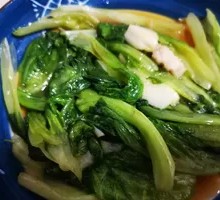 Oilseed lettuce
