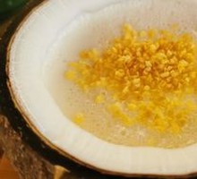 Coconut Jelly Milk