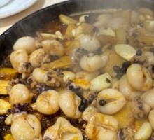 Large Plate Cuttlefish