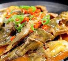 Golden Soup Yellow Catfish