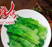Salted Lettuce