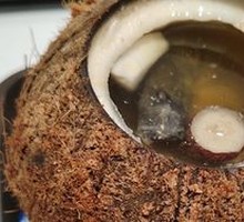 Whole Coconut Stewed Chicken