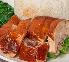 Qingyuan Oil Chicken Rice